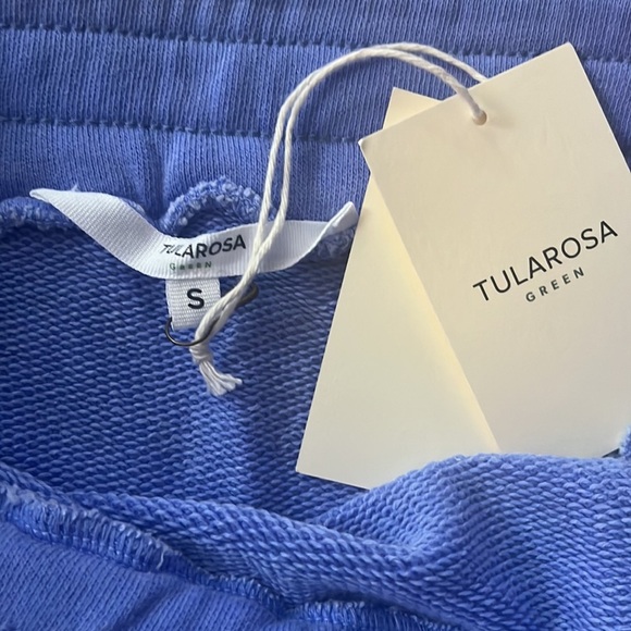 NWT TULAROSA GREEN MARGAUX SKIRT FROM REVOLVE, size small - Picture 3 of 6